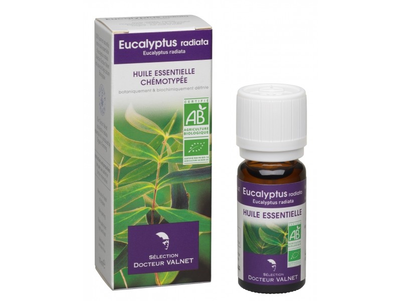 Huile essentielle eucalyptus radiata 10ml - Docteur Valnet